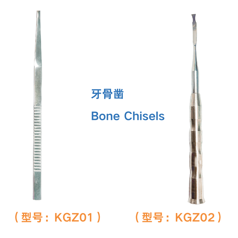 牙骨凿 Bone Chisels