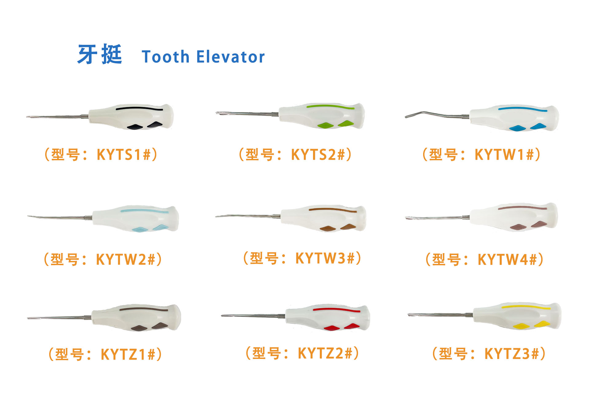 牙挺 Tooth Elevator