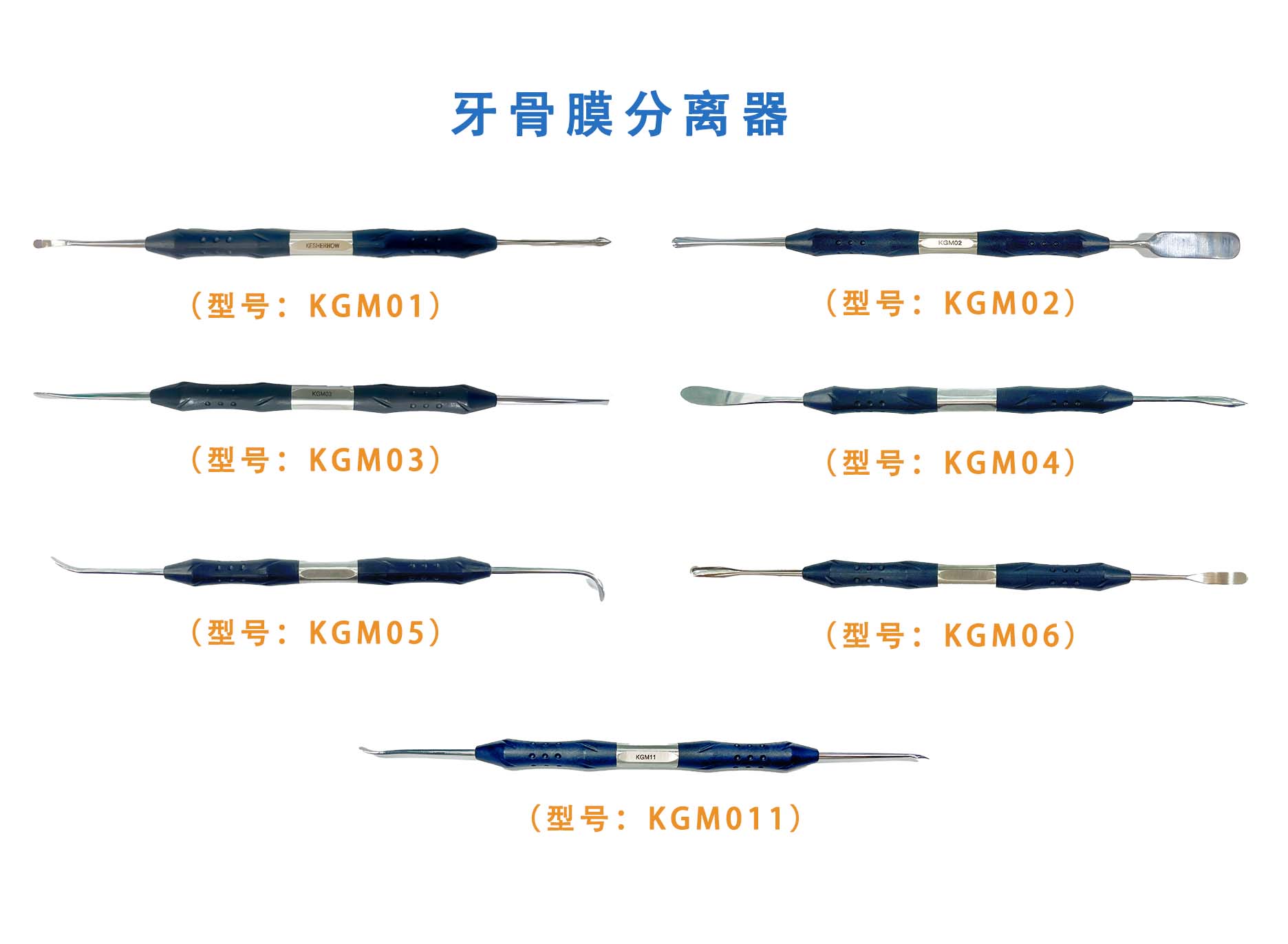 牙骨膜分离器  Dental Periosteum Separator