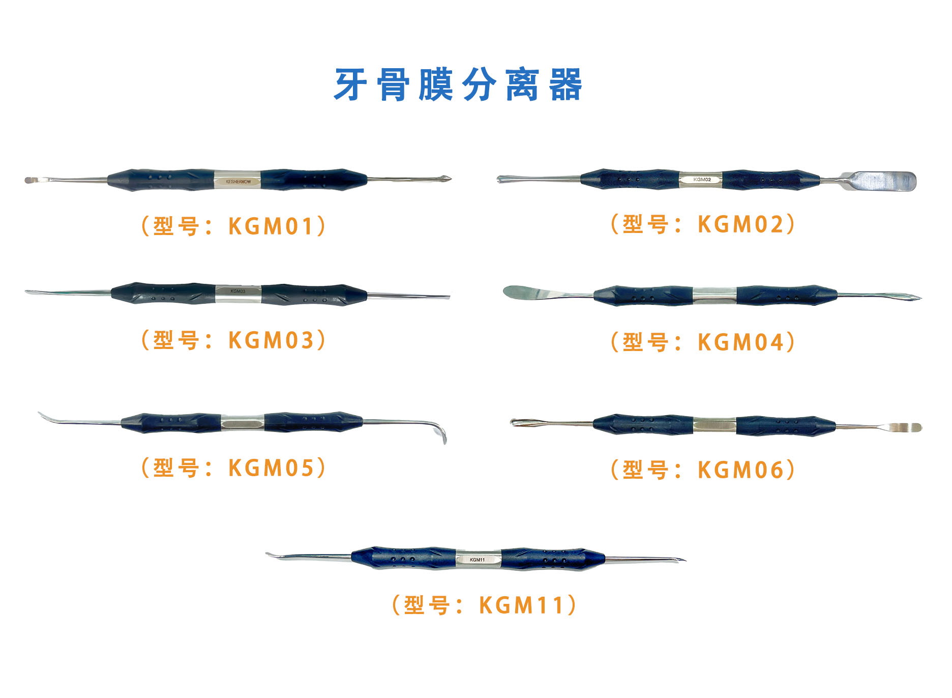 牙骨膜分离器  Dental Periosteum Separator