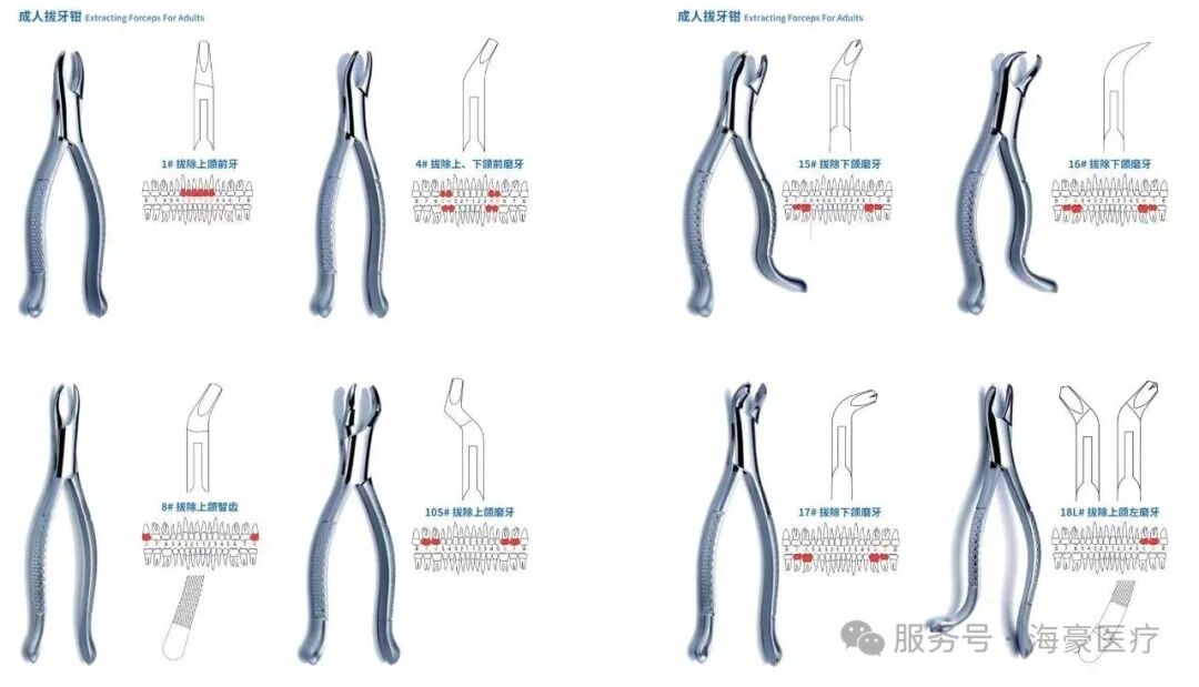 科视皓全系列口腔器械概览-拔牙钳：临床选择与使用技巧
