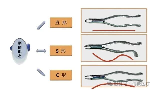 微信图片_2026-08-25_130536_720.jpg